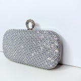 Royal Nightfall Clutch - Silver