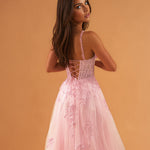 Celina Tulle Corset Gown Soft Pink back