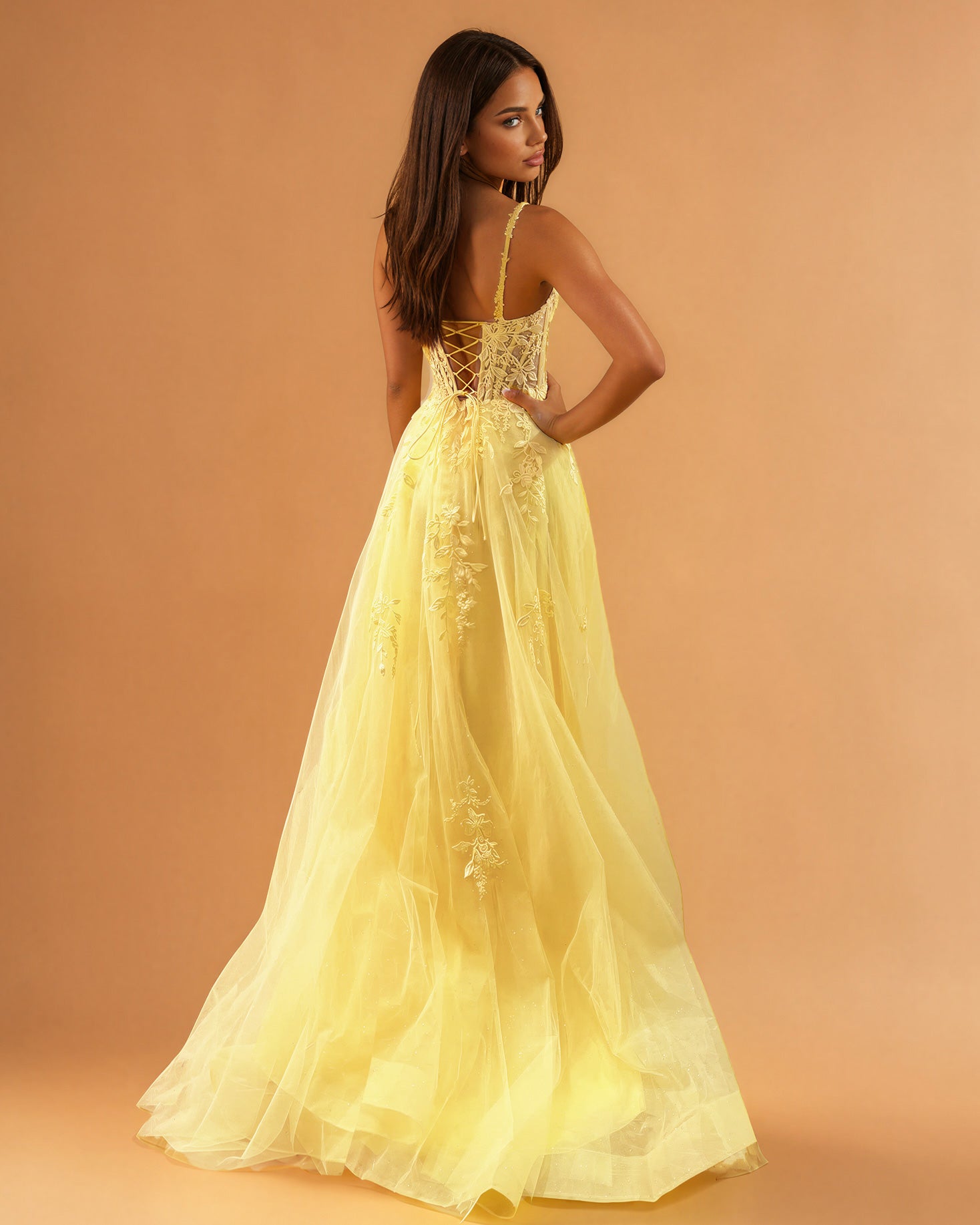Celina Tulle Corset Gown Yellow back