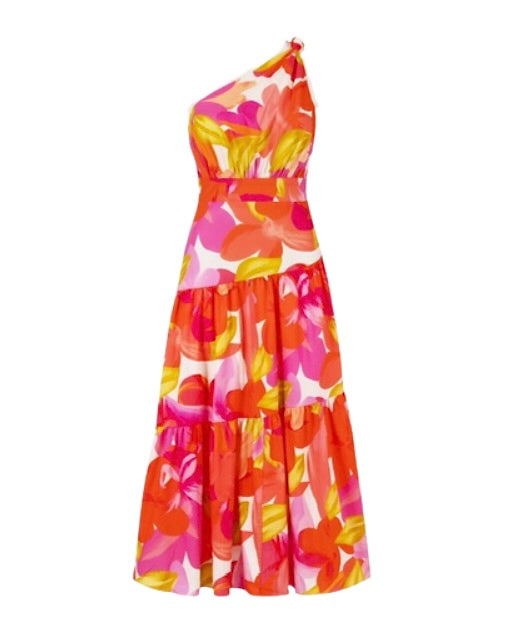 Siena Floral Maxi Dress - Multi