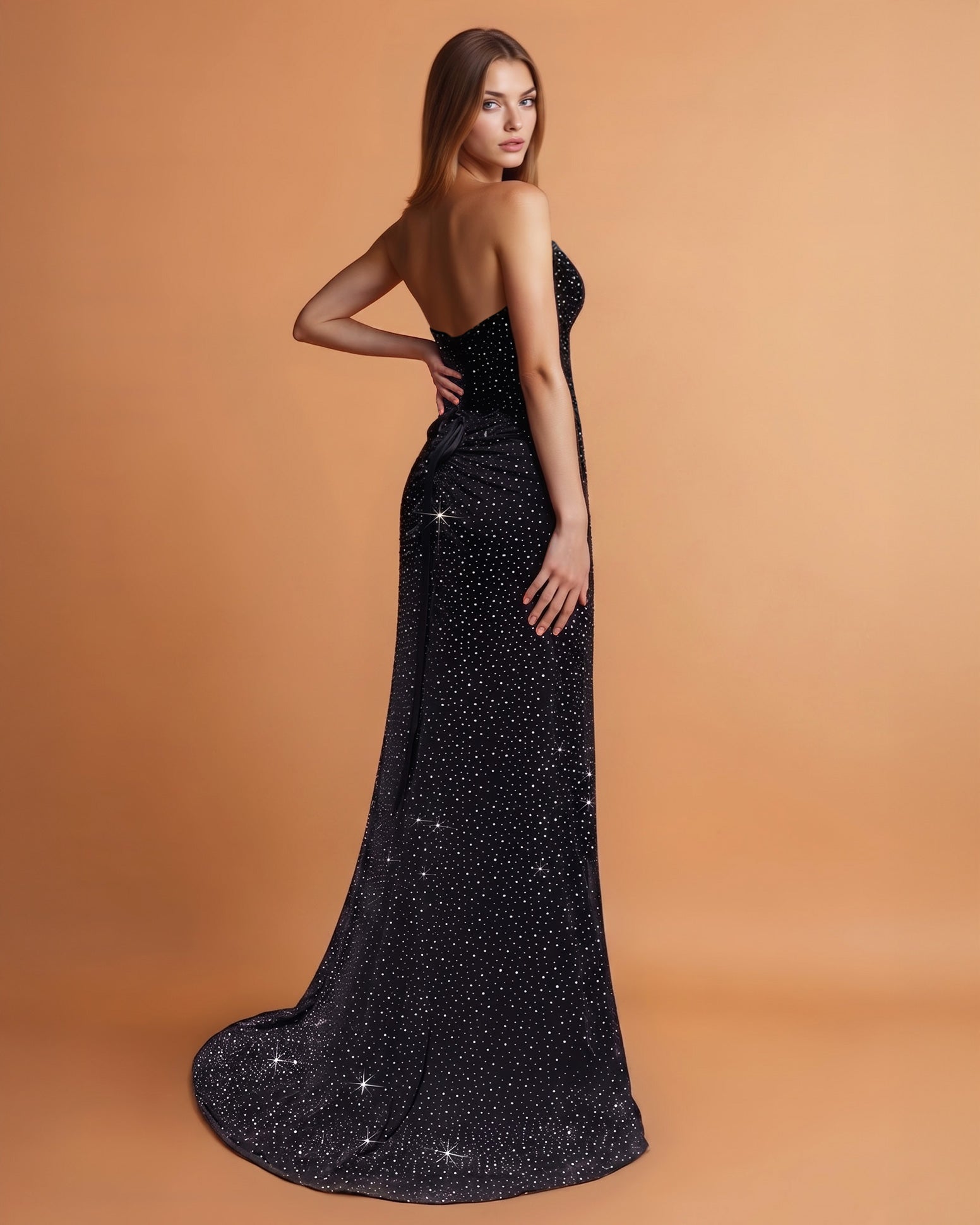 Alice Mesh Corset Gown Black Back
