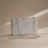 Amara Clutch Silver