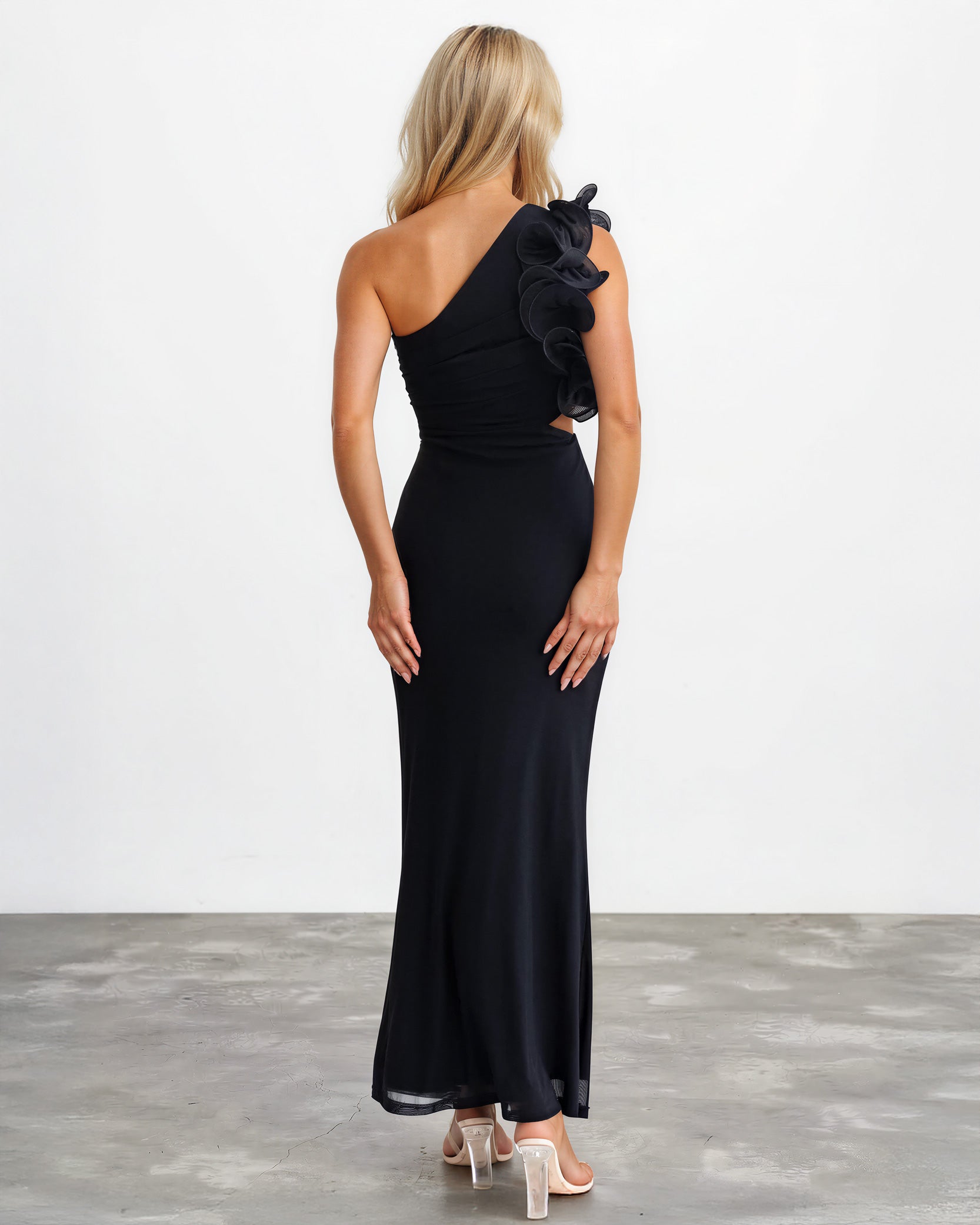 Cassiana Mesh Maxi Dress Black Back