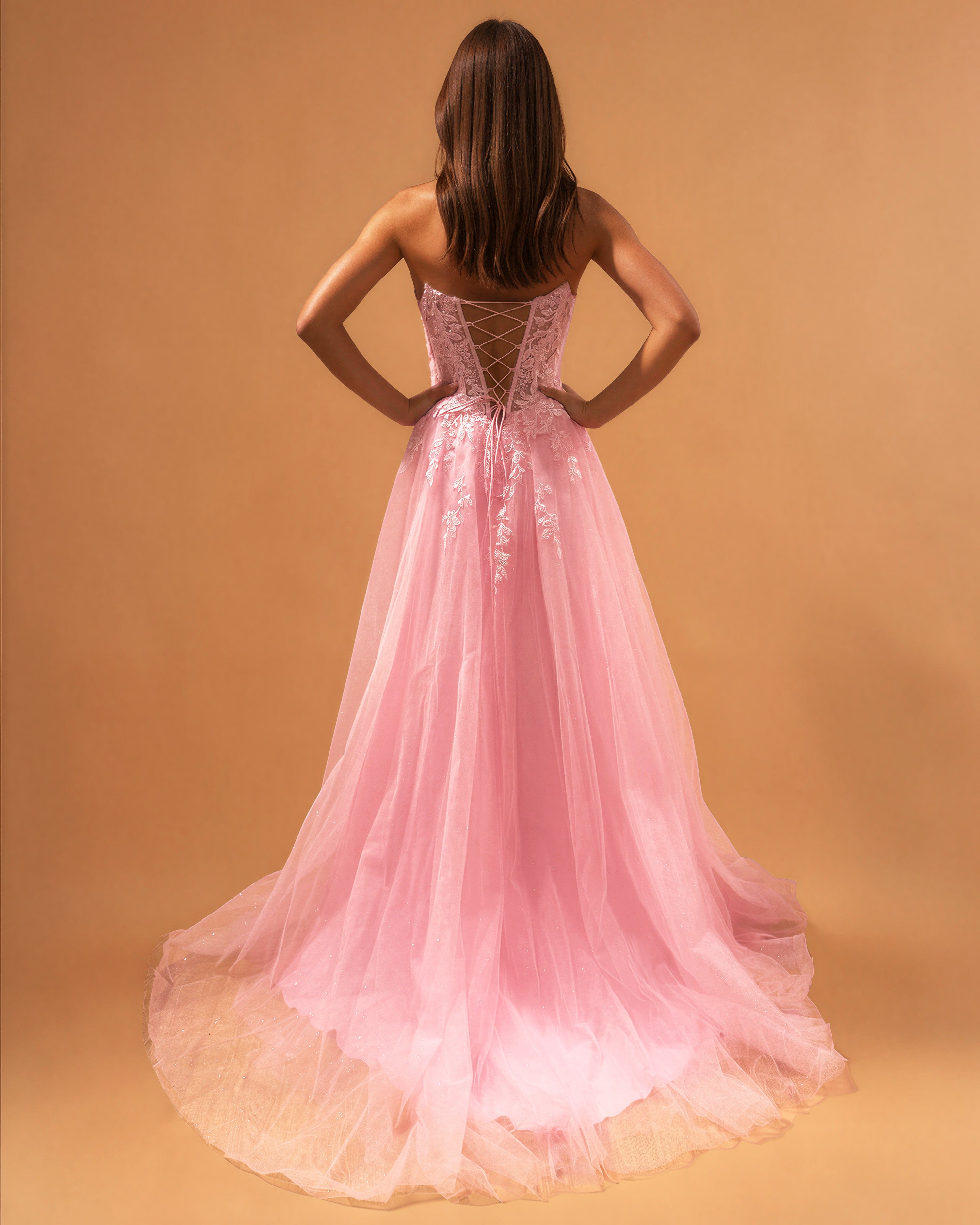 Melina Tulle Corset Gown Pale Pink Back