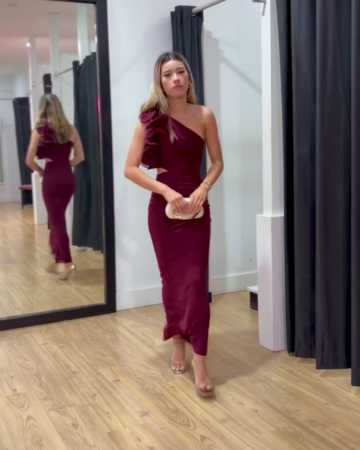 Cassiana Mesh Maxi Dress Wine Video